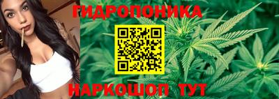 mdpv Аргун