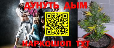 mdpv Аргун