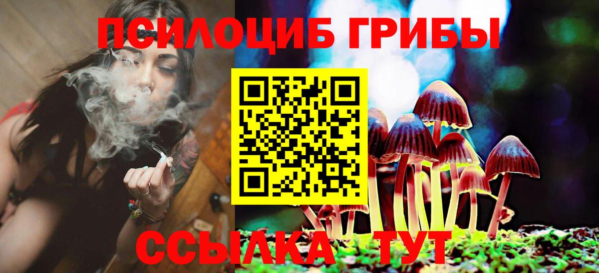 Галлюциногенные грибы мицелий  Вход с VPN  Боровичи 