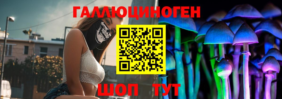 Псилоцибиновые грибы Psilocybe Боровичи